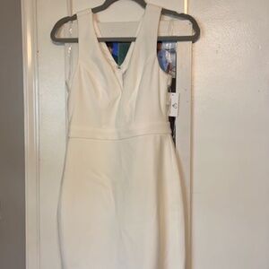 White bodycon, mesh backed, v-neck dress